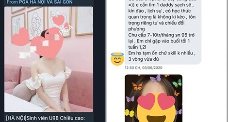 Các cô gái này có học thức, có trình độ